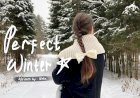 Perfect winter